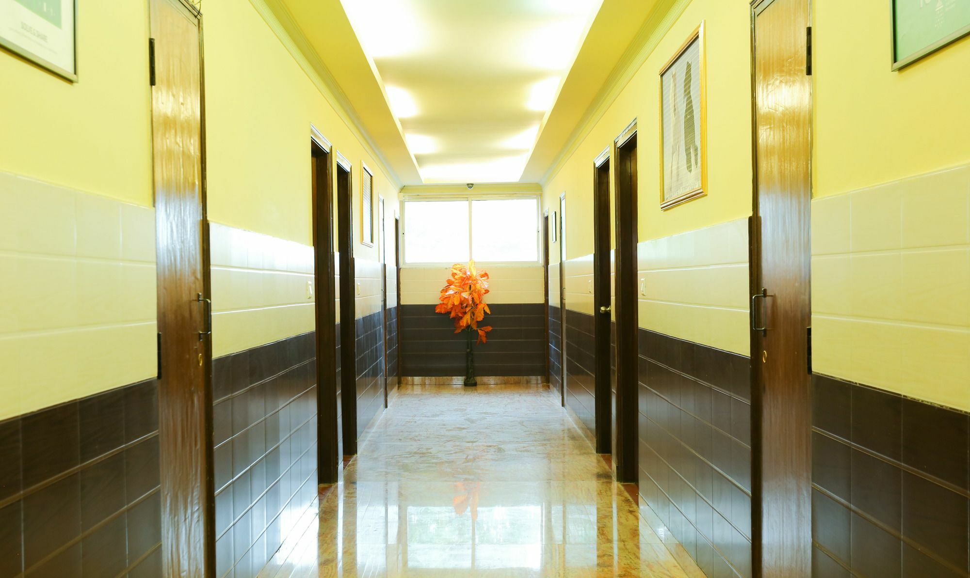 Hotel Treebo Trip Grand Regency Bengaluru Zewnętrze zdjęcie